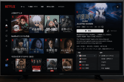 Netflix Japan browsing screen featuring anime rows, Japanese originals, and subtitle language options on a TV interface